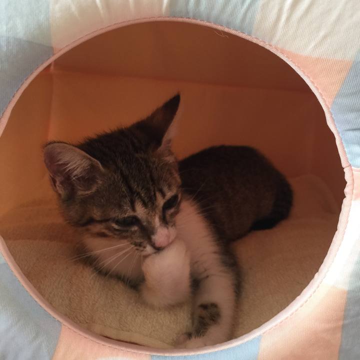 63aaea7a 5648 40e3 a46d 1b8bb403870c 1534635397983