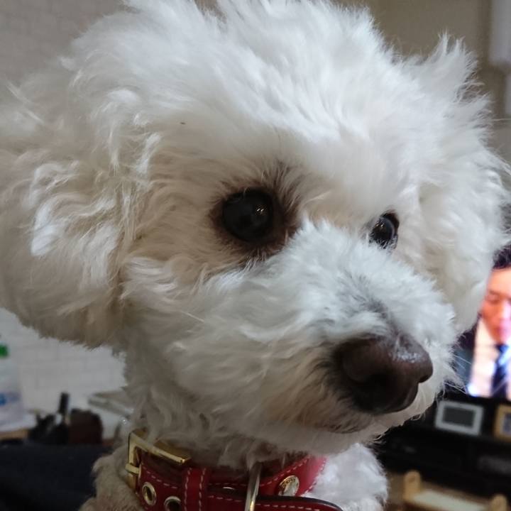 63ab0821 f3eb 40b4 a7bc 9ec5423143a7 1572930406530