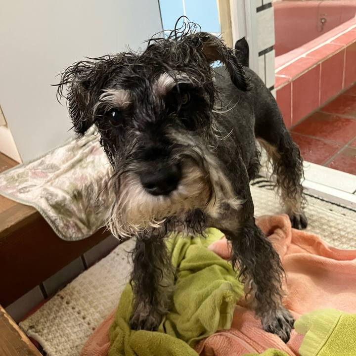 63ab0bc8 985e 4547 9afc 0a8d9a6529c1 1723960067914