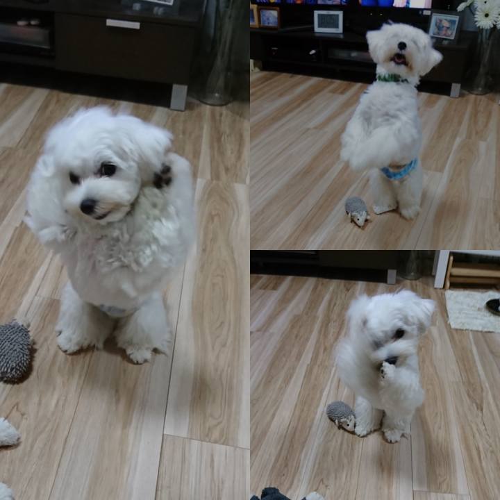 63ab6b80 0731 4395 9f64 f6e7c173641a 1599827564915