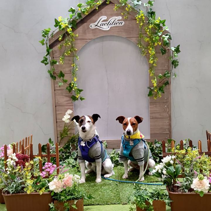 63abc553 1c9b 4263 b104 1a90da269abd 1617367859008