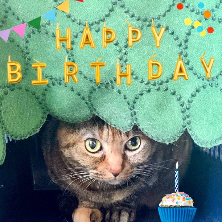 63abc88c 5d0c 4353 980a b83923c2cb89 1684364237616