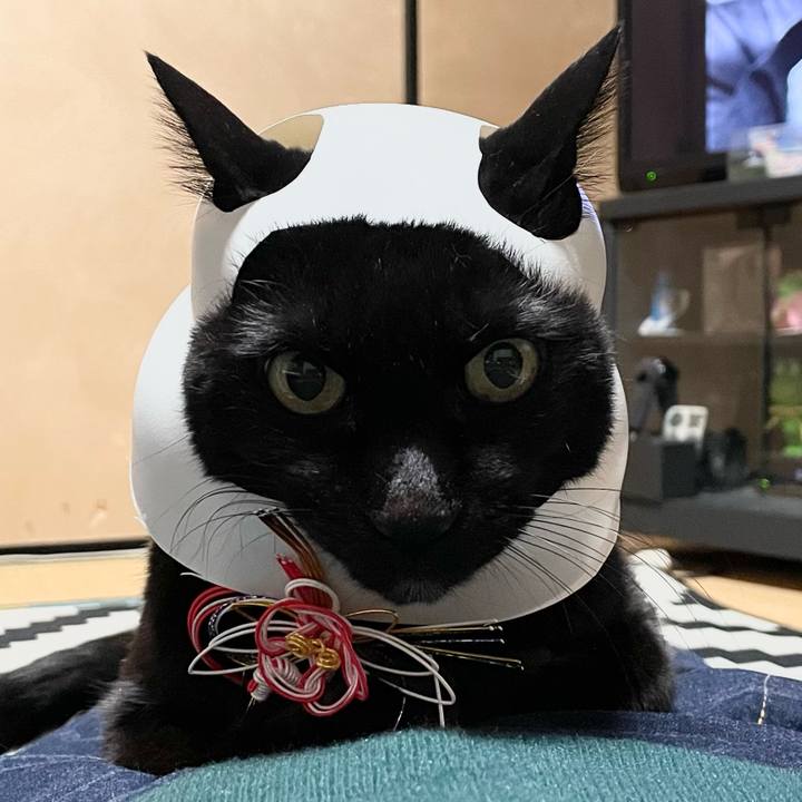 63abd7db 2c44 4fb7 b9dd 4c7cb736acf8 1768135717447