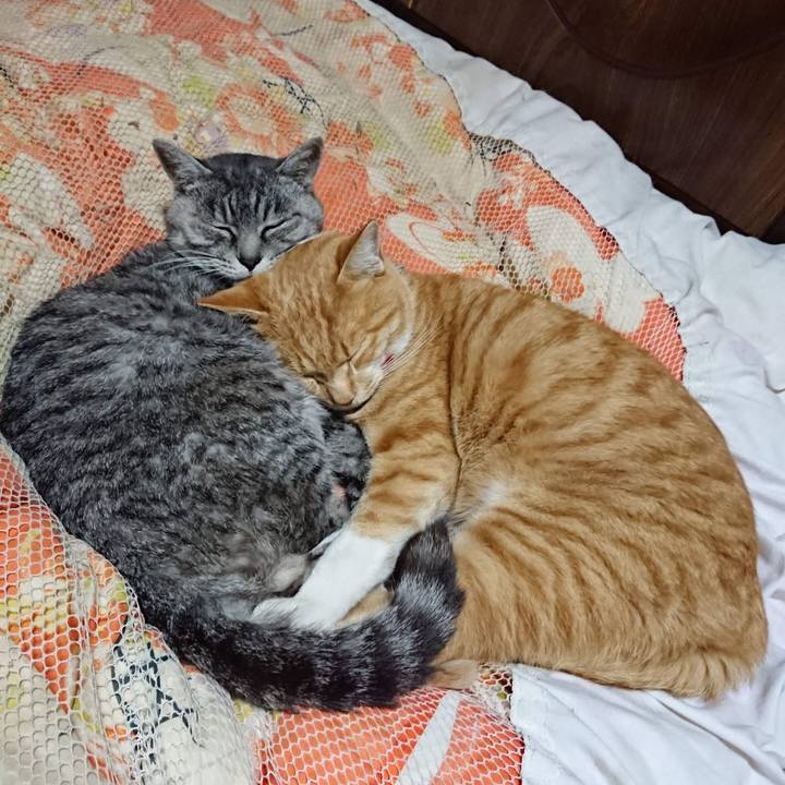 63ac0750 e3b1 4f1b 97f6 c3a130919f68 1605526978068