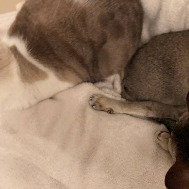 63ac0fcc 94b1 4390 9e7b b9f8ee54e866 1538219733739