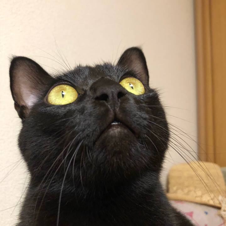 63ac1a22 db94 4114 b8c6 069f94562373 1539819532422