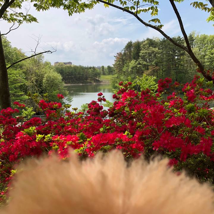 63ac6b8f 263d 4e07 817a 32666b293fa4 1557107833950