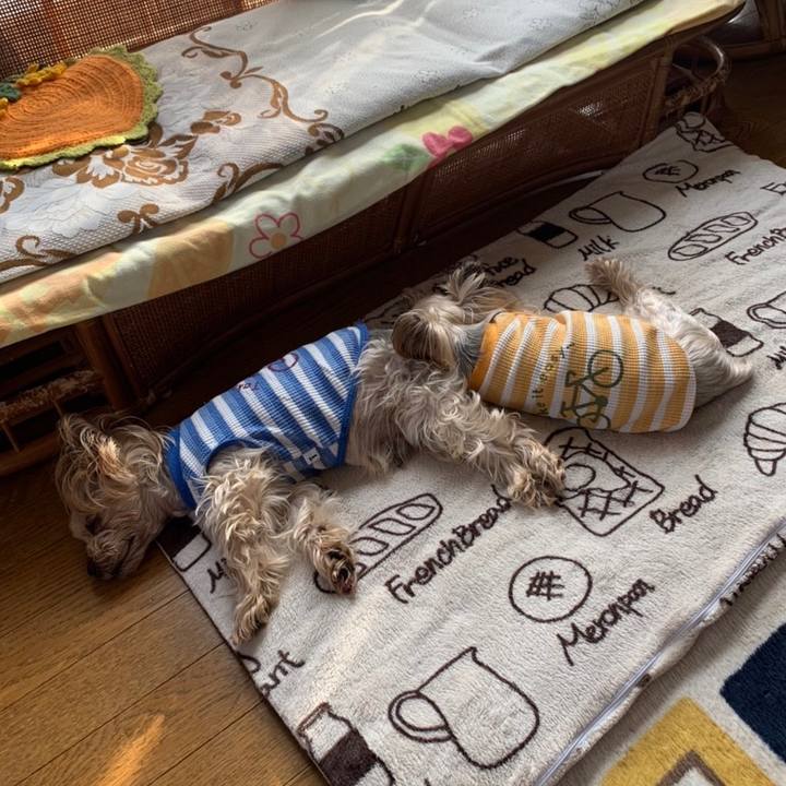 63ac8fcf 7260 49af aef0 0d859df80d30 1649672791520