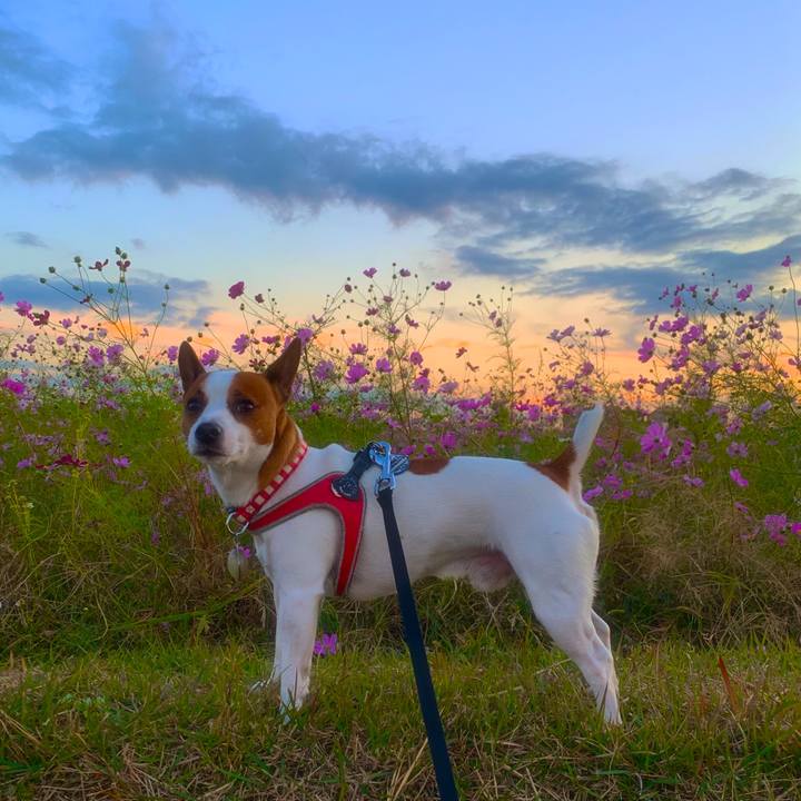 63acda47 833c 4848 90e9 58cad4e51473 1541151208334