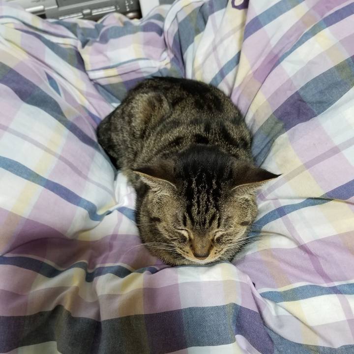 63ad1e87 5a2a 43b2 a37b 4271d749c2aa 1608413363333