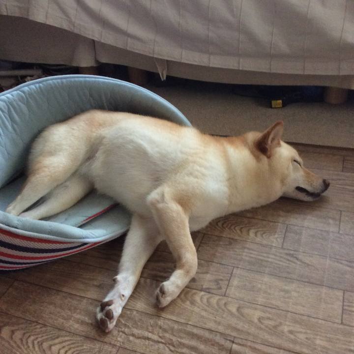 63ad6cdd 6b1c 43d9 8c21 13def6752347 1564203671639