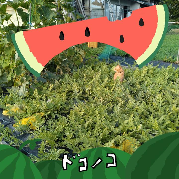 63ad90c1 4b69 4102 96db 68bdca40bc98 1720780074297