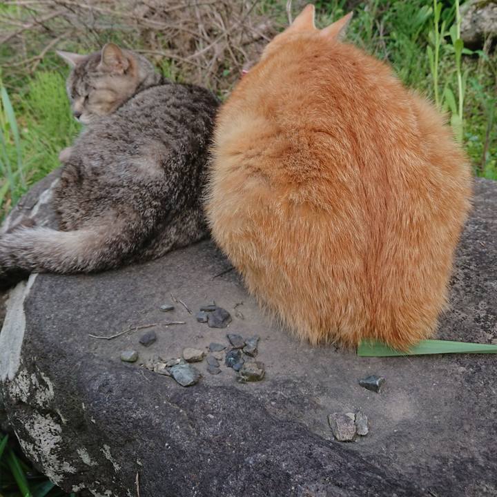 63adb06c 01cb 40fa b8b8 41b590fd76c9 1559212566694