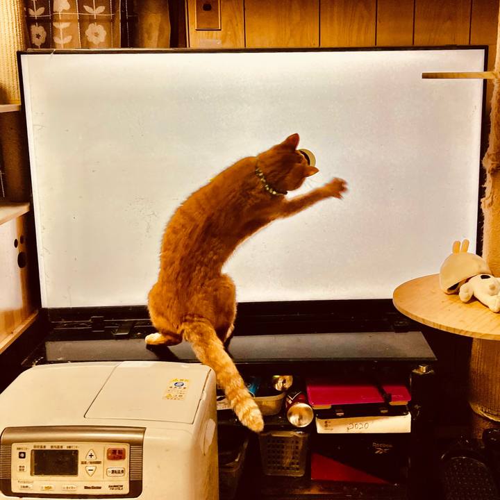 63addbea a8f4 477d 8952 e10d867bb4e0 1768715039379