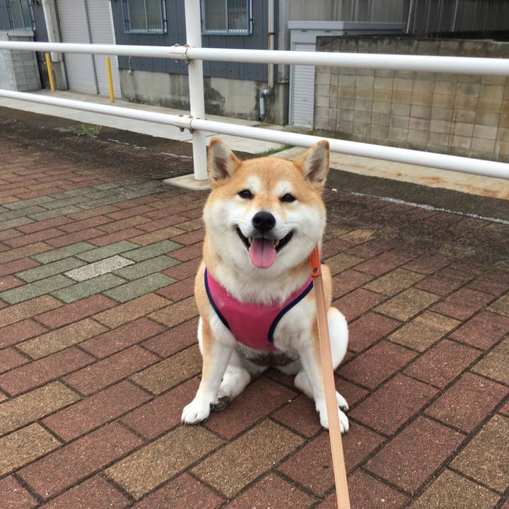 63ade7f1 d048 41b4 8e93 d767c0d4fb56 1562313790888