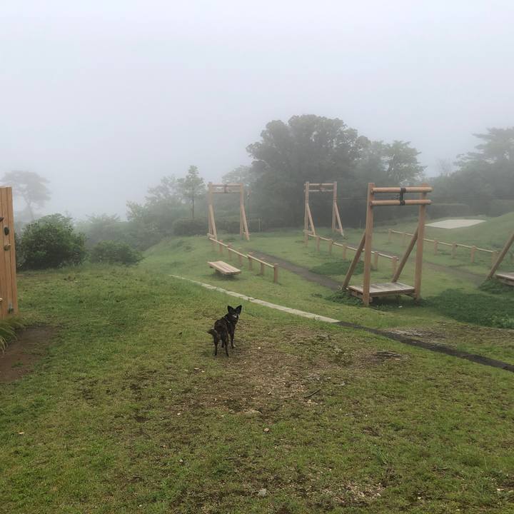 63ade8d0 5975 40d5 9400 92ff392b789e 1687955793618