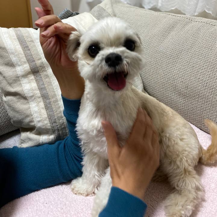 63ae455b d3db 45ff b85d 9dc33ac1bdac 1584528419704