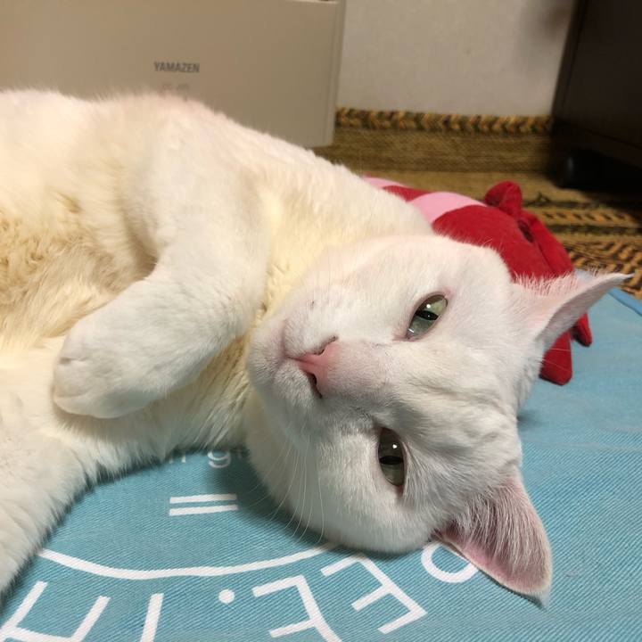 63ae4dba 6289 4033 b978 97c1a37620f8 1620389300765