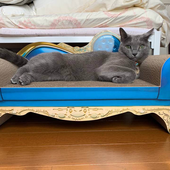 63ae532b a559 4f69 bee9 a9313db63c80 1662861167705