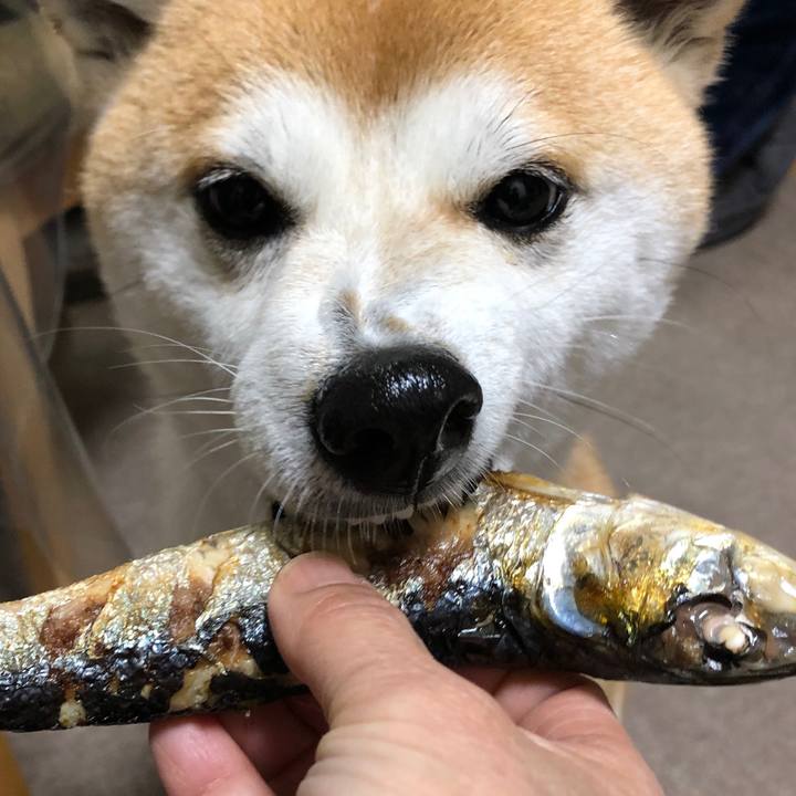 63aed931 f81b 44a9 a6c2 1bed2c0b3608 1549184347295