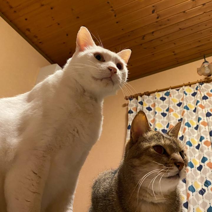 63aedf4f 6abc 4930 b409 eed35f70162f 1635367169841