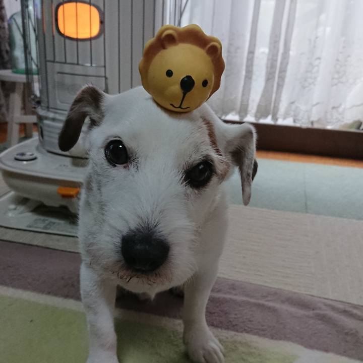 63aee864 4be8 44af bbdd 702d25436a79 1579650680421