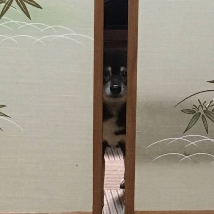 63aeea95 8e1e 4368 938e 1761c695edd0 1514026061101