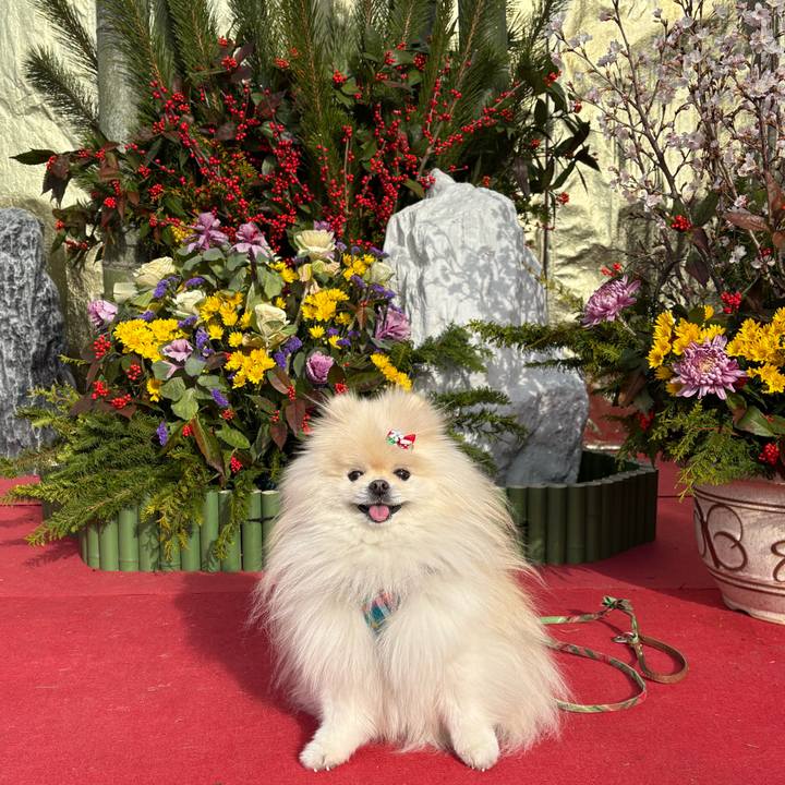 63af63a0 e803 4a83 8154 d2229797a93d 1767581509882