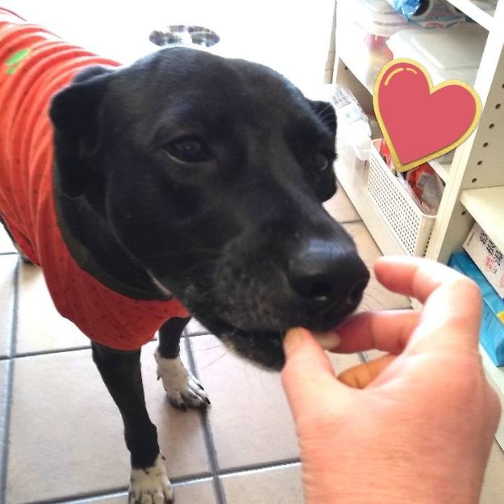 63af7846 974b 47cc 8fcb dc96a3a9ed5f 1609567779765