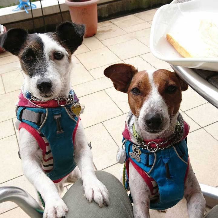 63afb4a3 9f0f 4774 8d5b 3e52fca3494e 1571278801240