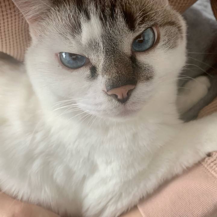 63afd04e 41cd 45fa a151 58e1ff6685e4 1674356434632