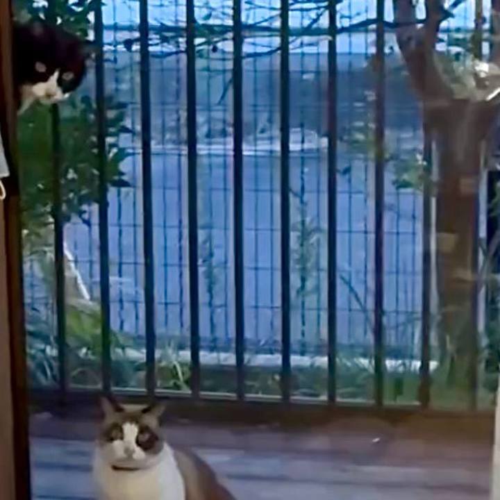 63afe91c 2317 410b 9d86 6879d6919b3a 1762857151025