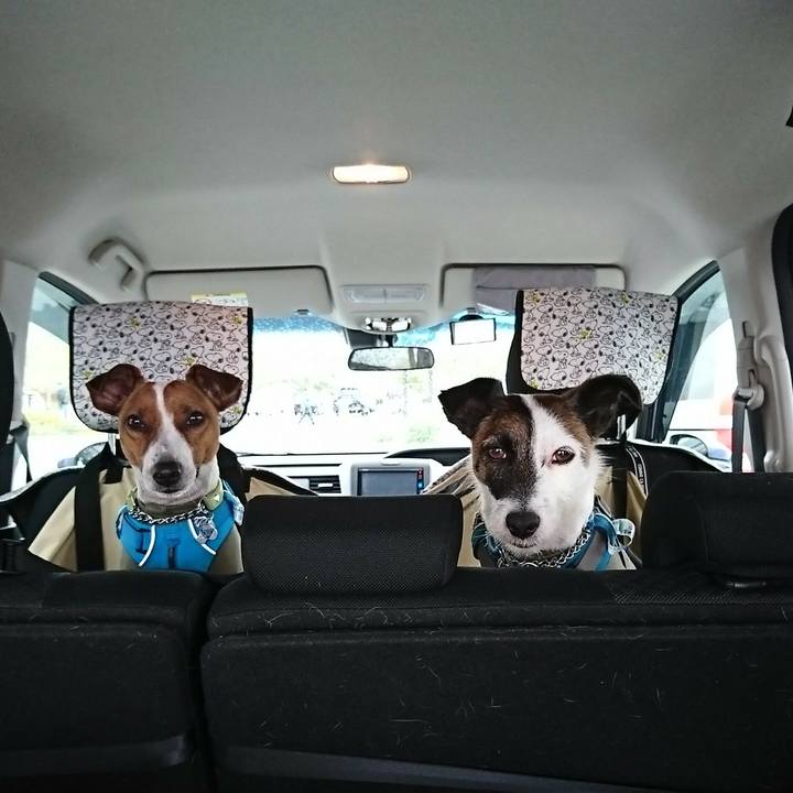 63aff0ec 8489 4935 b3af 8468c2ac9520 1556687902367