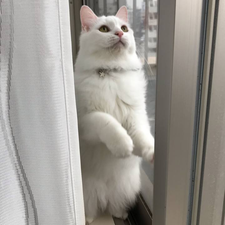 63aff8e7 8137 4e1d a247 cfc82561a1dc 1545865990203