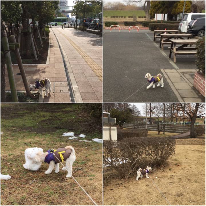 63aff9fb 8233 4471 9fb9 12ab4cf501e9 1517646983741