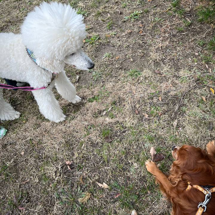 63b0299c 9e15 4697 bf50 51753f6037cb 1711845310451