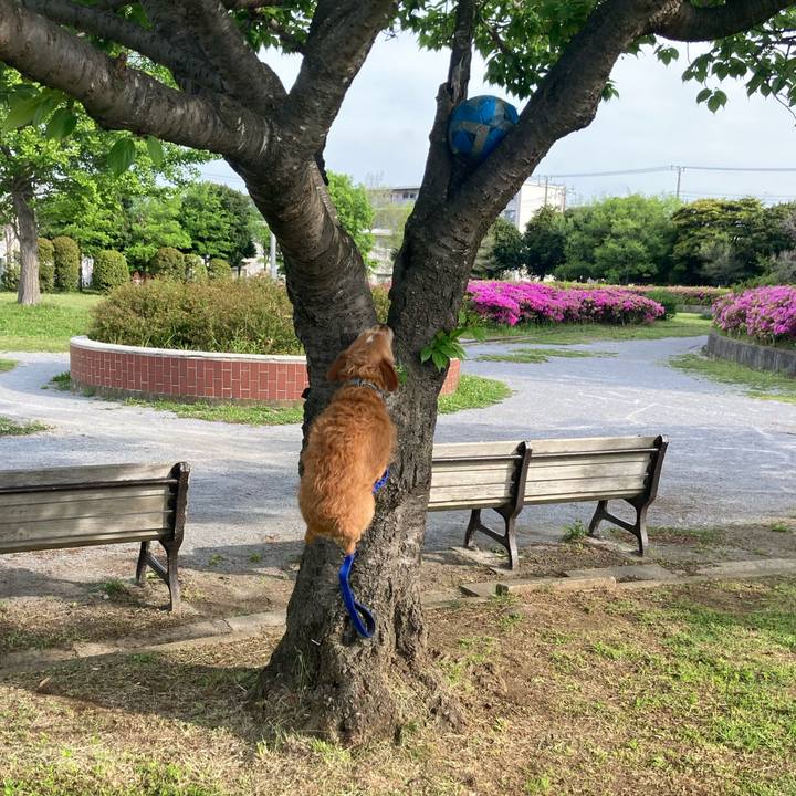 63b02ea0 eee9 484a a2cb 6d70f88d1482 1651826791220