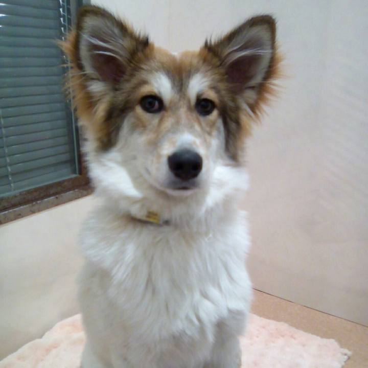 63b04a16 d336 40b7 a389 8c8c8c5506de 1520081055872