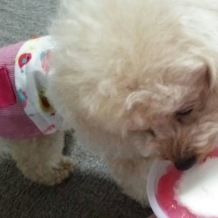 63b07f6d 9177 4269 9256 a392471c8827 1531999709870