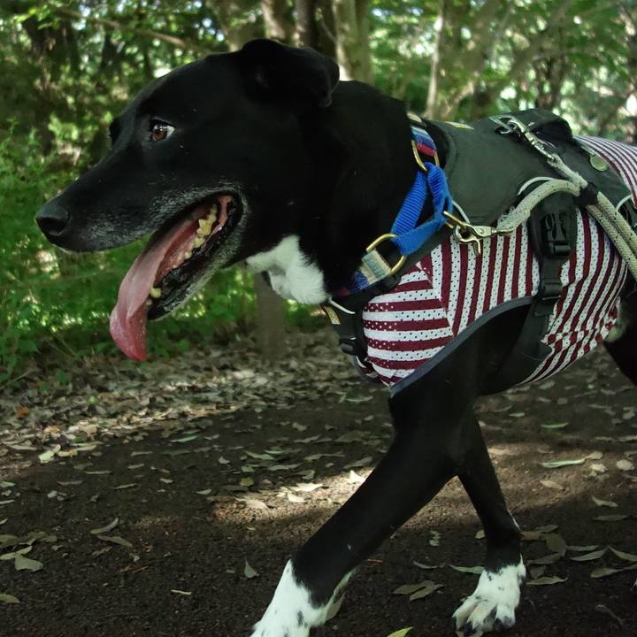 63b08666 e299 4cac 96be 06b4fd9041ab 1658274603008