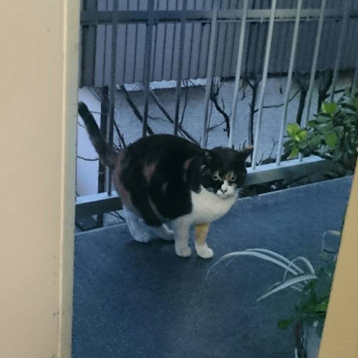 63b0a8c8 43ee 442b 9abe 938dcd5dc44d 1515488074445