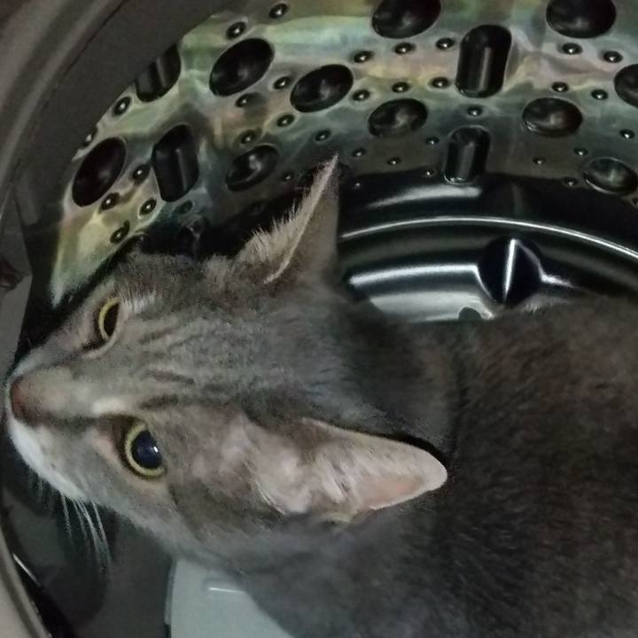 63b0d59f 3680 4381 bf3e f52d30f040fa 1621514164837