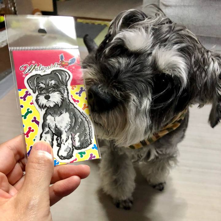 63b0fc3c 1340 497b bb04 b619d175eb23 1657879315910