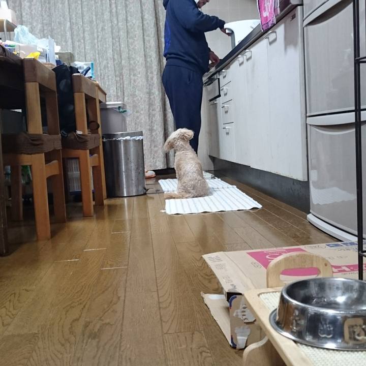 63b11491 207d 4a75 b782 2e02203694a4 1609320128542