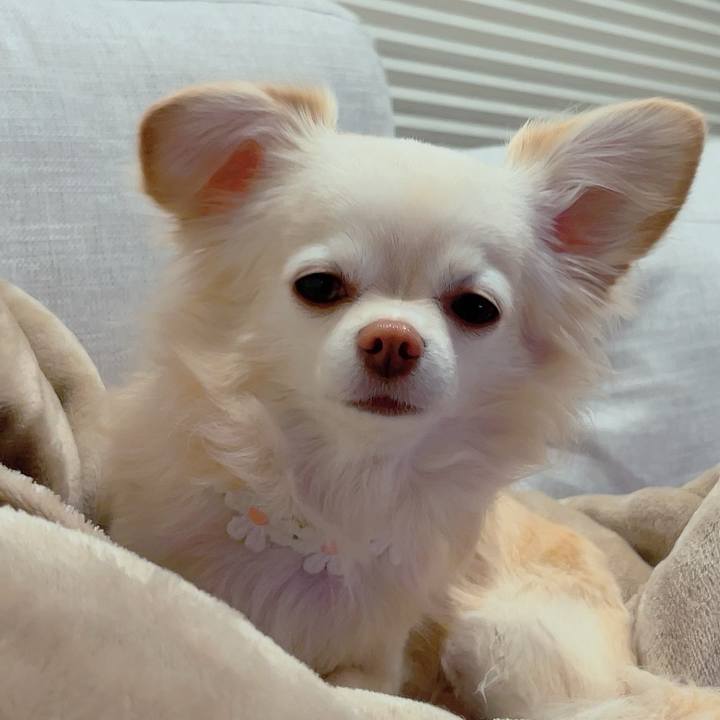 63b1343a aa6e 4d18 9e14 e3c8169c0dd4 1704842437314