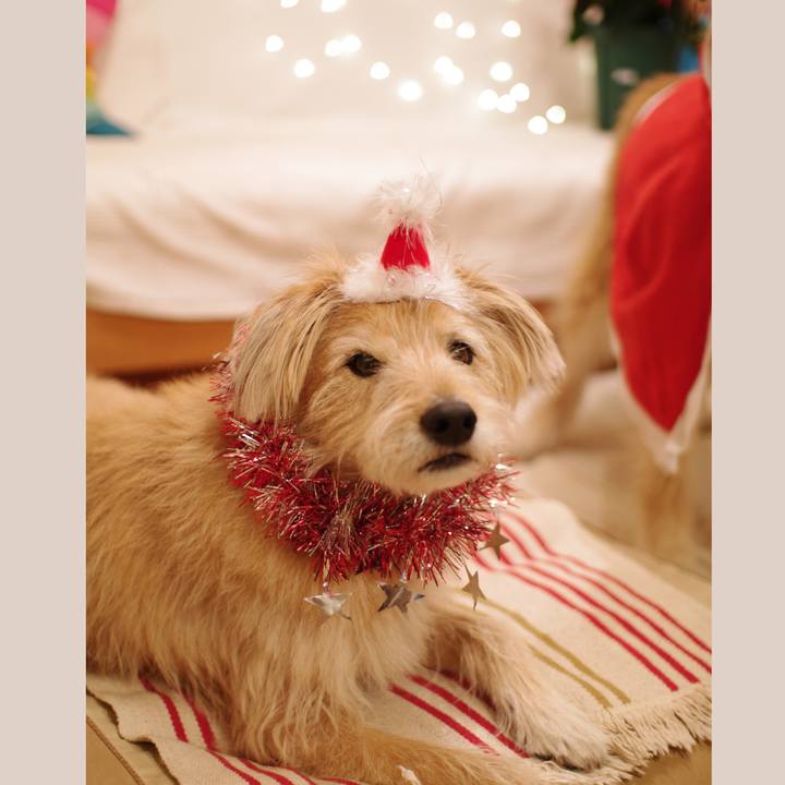 63b139d2 5daa 404f 839a 6f297aa40f8e 1577177392766