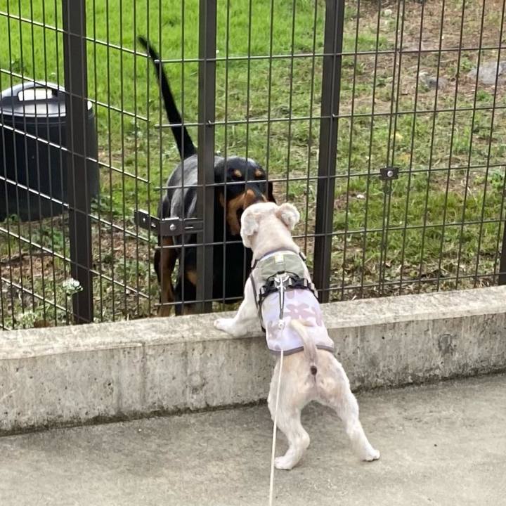 63b17d55 44eb 4173 95fb 73596bbf313c 1726989470067