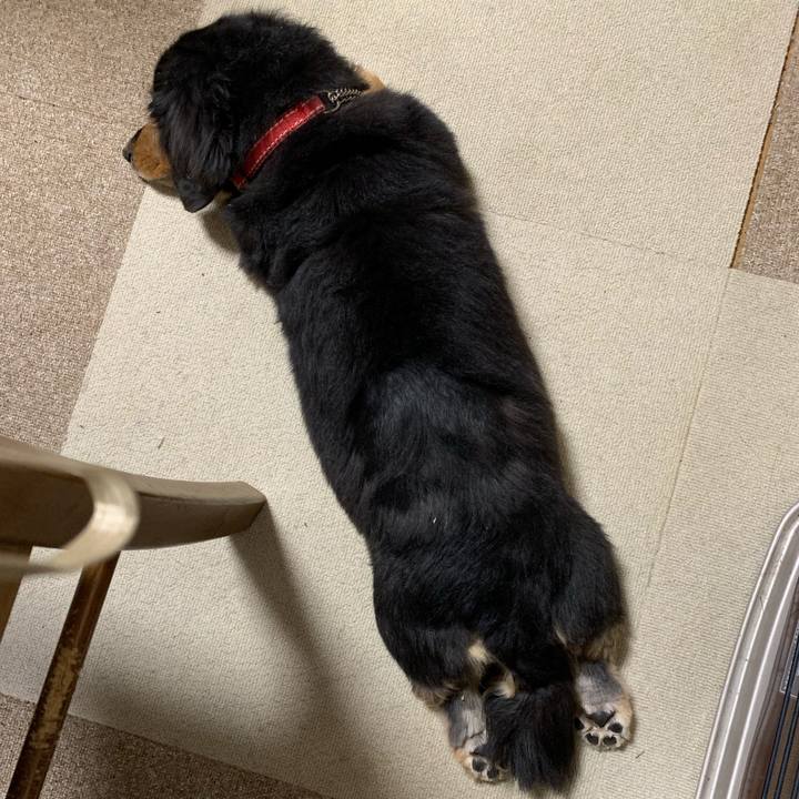 63b19f91 a283 446c 9c27 d82da4ff5110 1546209275446