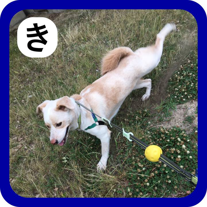 63b1bceb 50f2 4e5f 9e03 b3ae192013d5 1514980089670