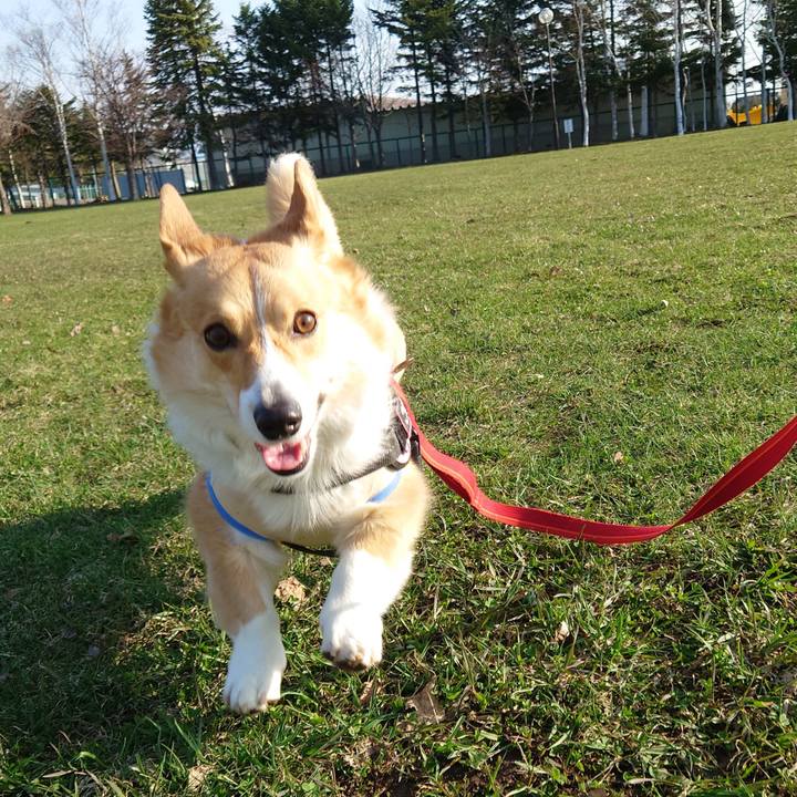 63b1dc23 0821 4d6c 94ce 63a362a49b8e 1775692149121